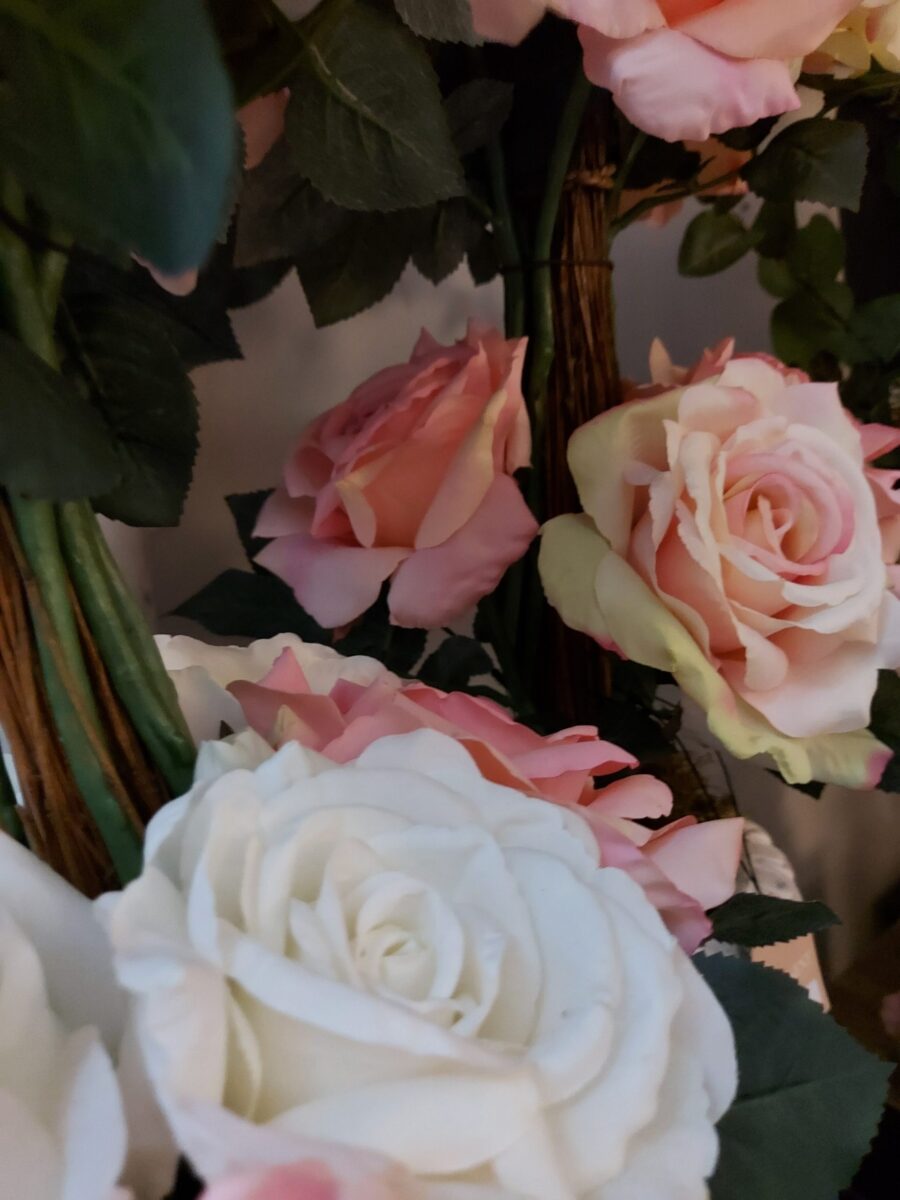 Rosa Cabo Corto Rosa Clara