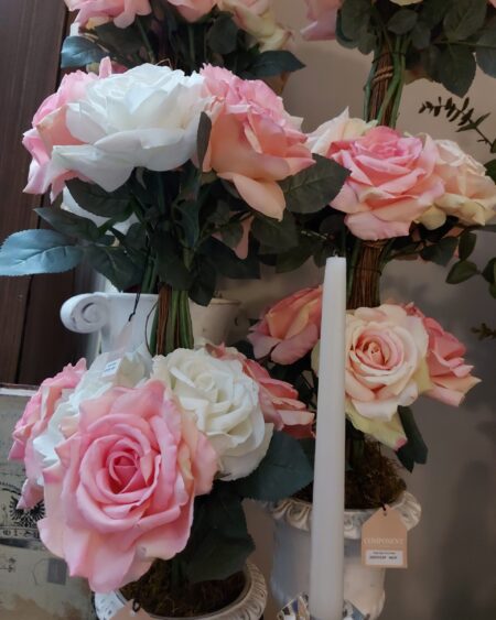 Rosa Cabo Corto Rosa Oscura