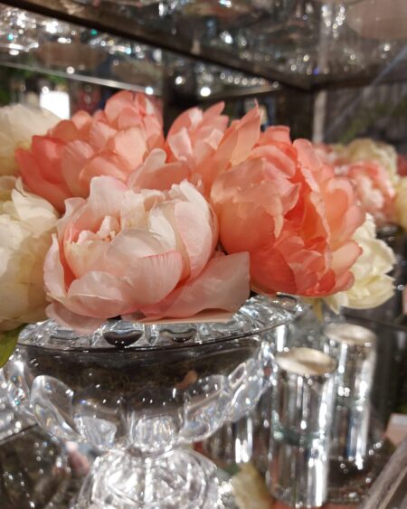 Vara de Peonia Rosa