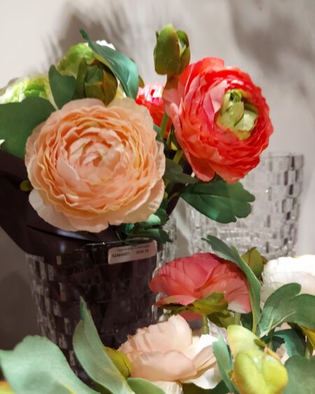 Vara Ranunculus Rosa