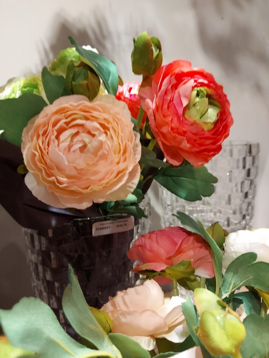 Vara Ranunculus Rosa