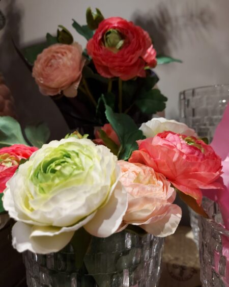 Vara de Ranunculus Blanco