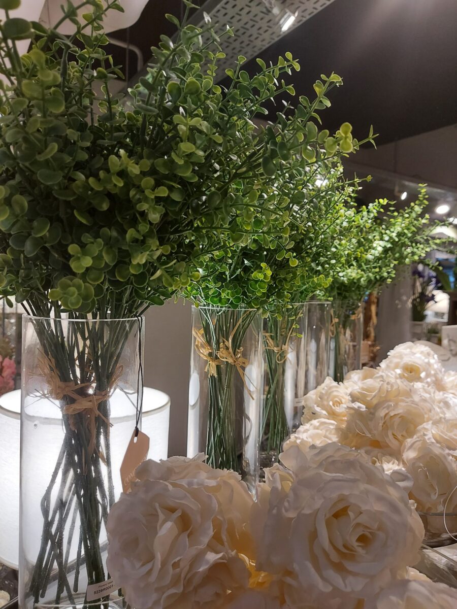 Vara De Buxus