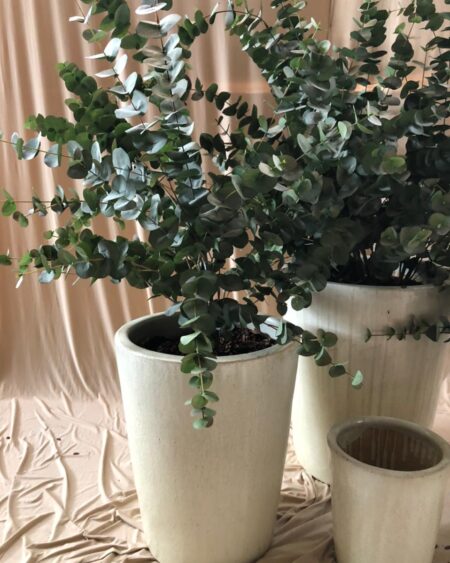 Maceta Cilindrica Crema L