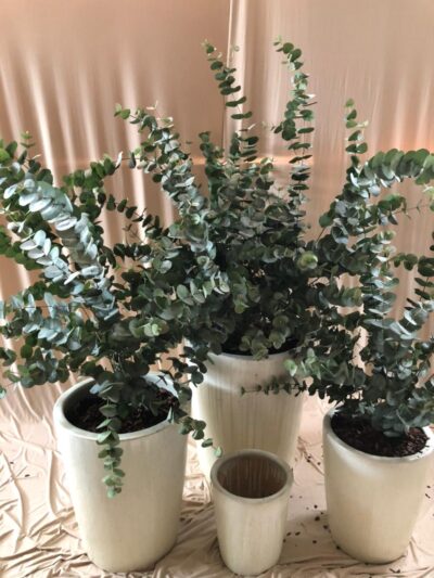 Maceta Cilindrica Blanco XL