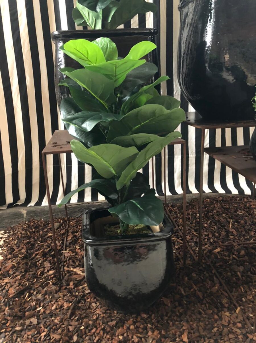 Maceta Bombe Negra M