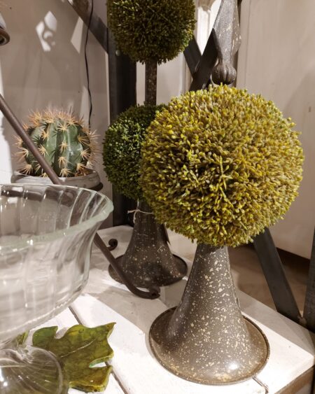 Topiary Puntera 1 Bocha