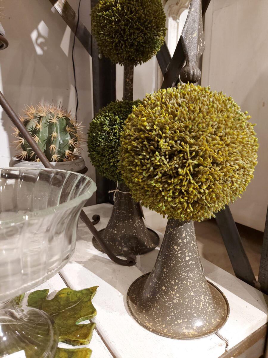 Topiary Puntera 1 Bocha