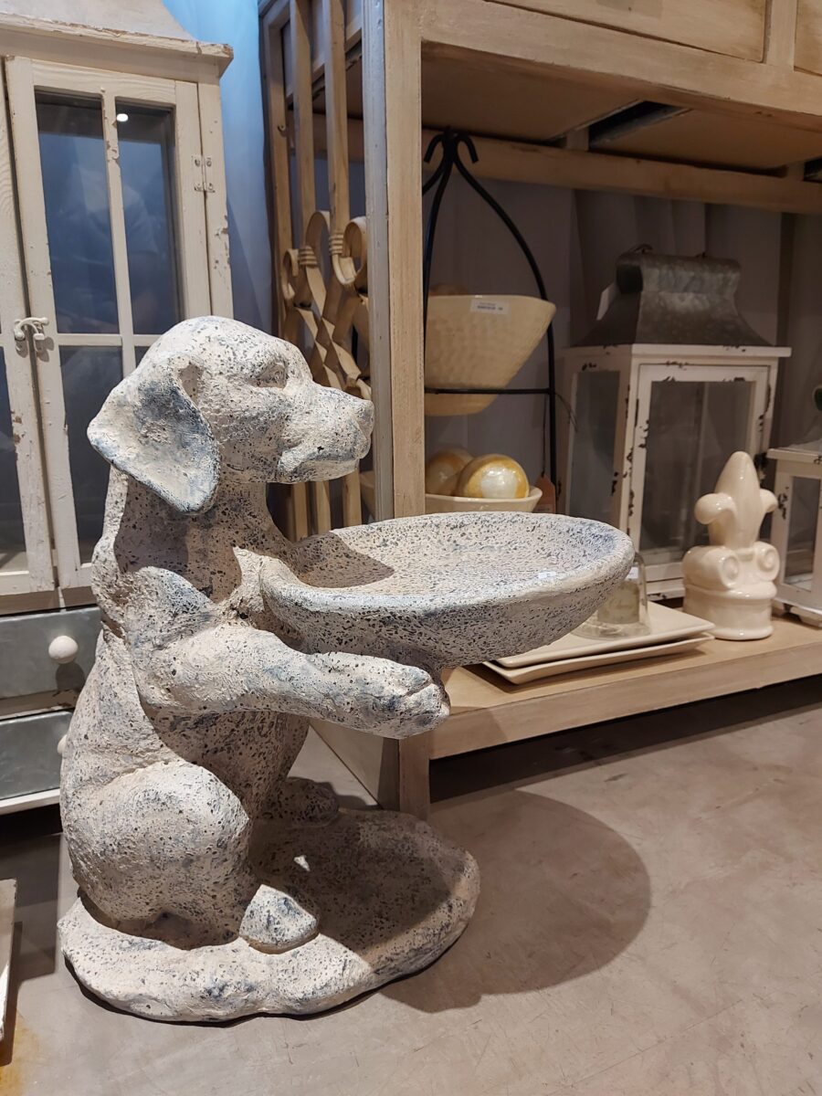 Perro con Fuente