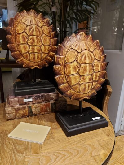 Escultura Caparazón