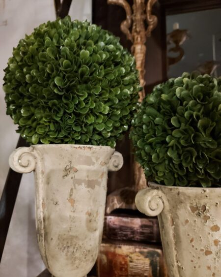 Bocha Boxwood Grande