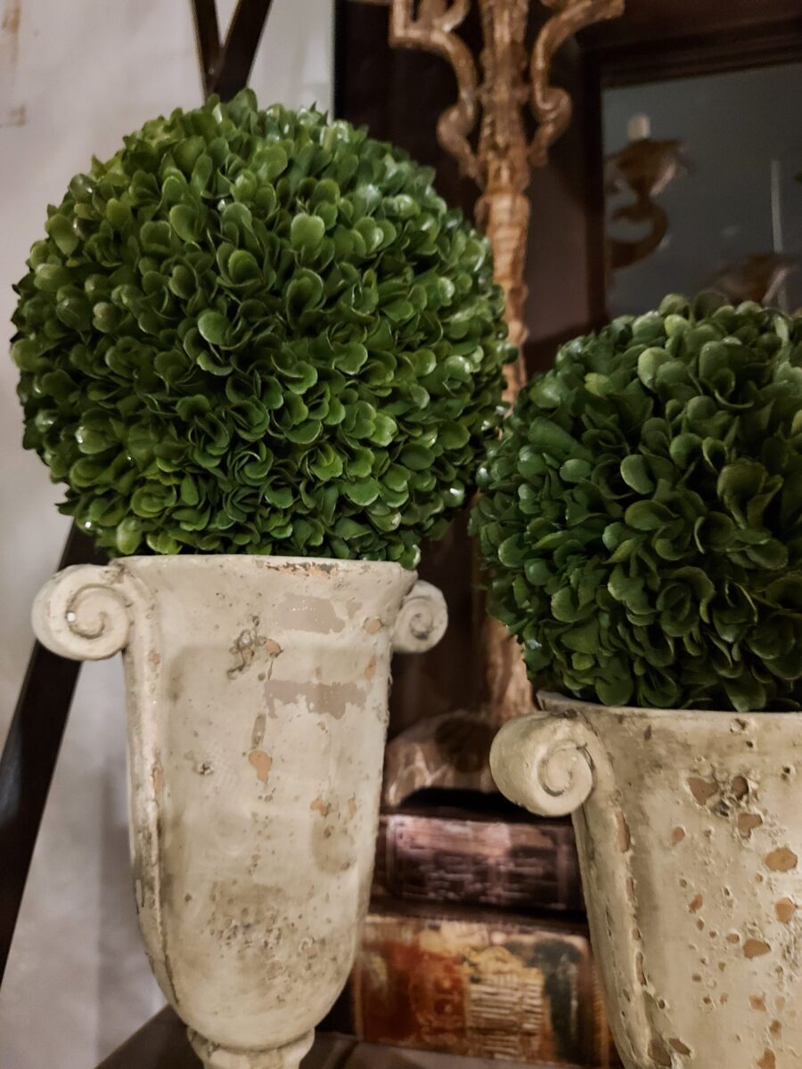 Bocha Boxwood Grande