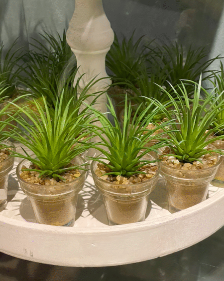 Planta del Aire