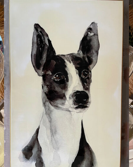 Cuadro Perro
