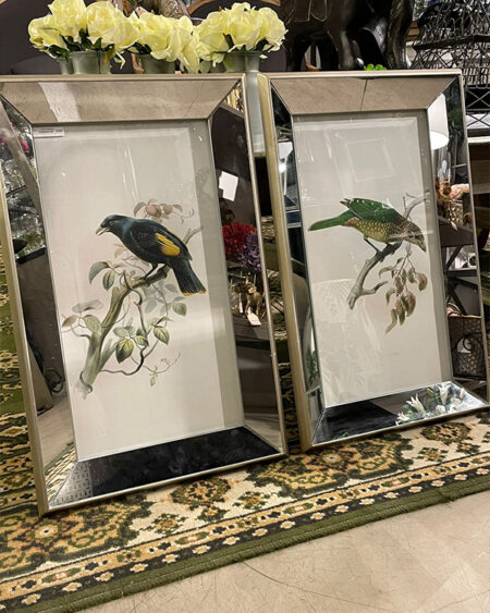 Cuadro Espejado Pajaros Set x 2