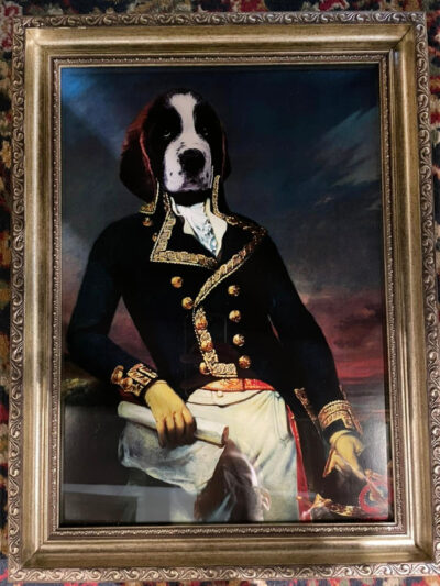 Cuadro Perro San Bernardo