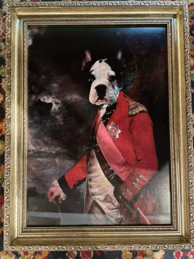 Cuadro Perro Bulldog Frances