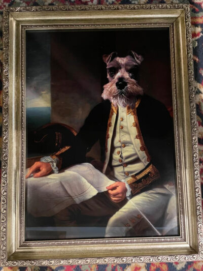 Cuadro Perro Jack Russell