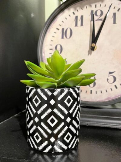 Suculenta en Macetita negra