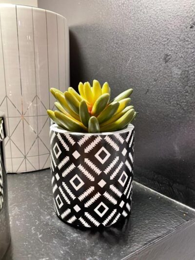 Suculenta en Macetita Negra