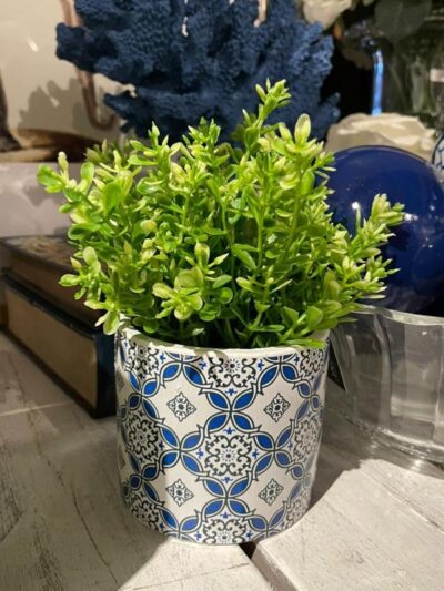 Hierba en Maceta Ceramica Azul