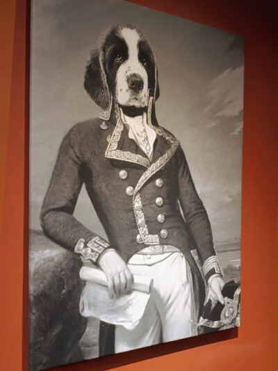 Cuadro Perro Grande San Bernardo