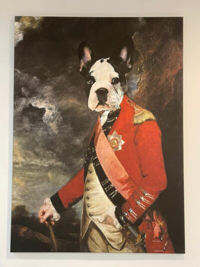 Cuadro Perro Grande Bulldog Frances