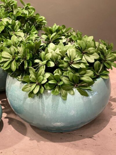 Maceta Boina Turqueza L