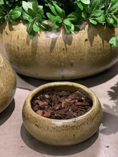 Maceta Boina Verde S