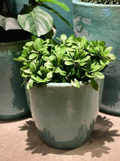 Macetero Bombe Turqueza S