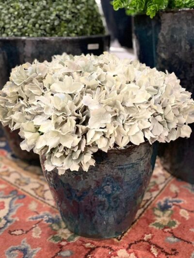 Macetero Bombe Azul S