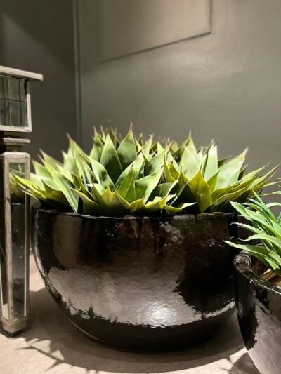 Macetero Cuenco Negro Grande