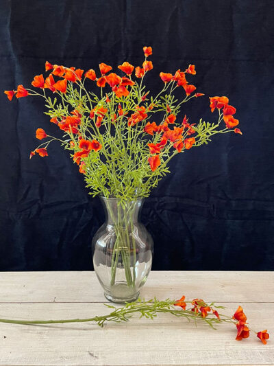 Ramillete de Amapola