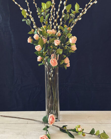 Camellia rosa