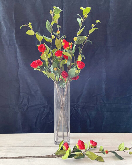 Camellia roja