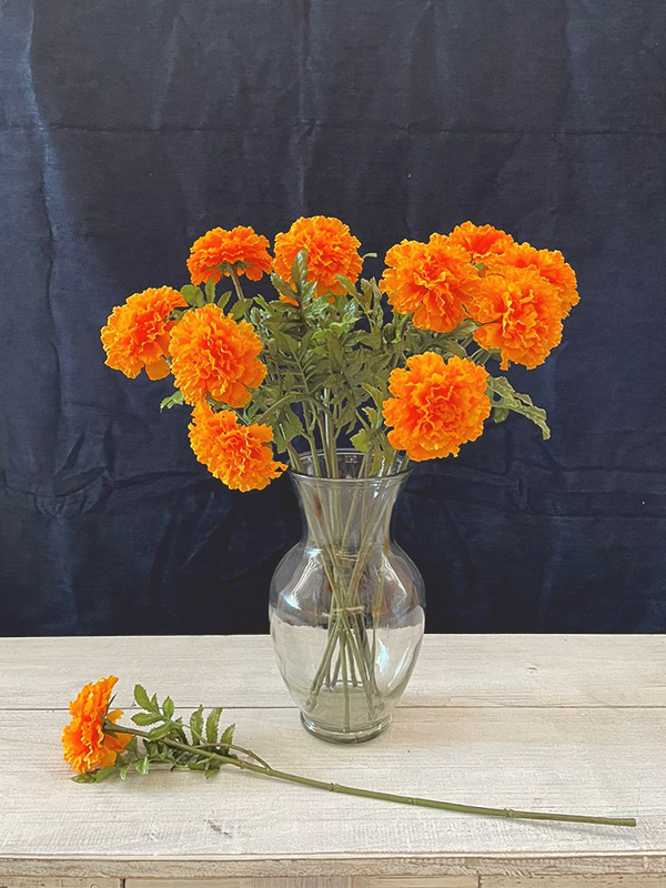 Calendula Naranja – Component New House