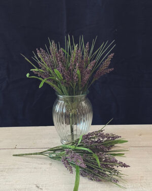 Planta de Astilbe