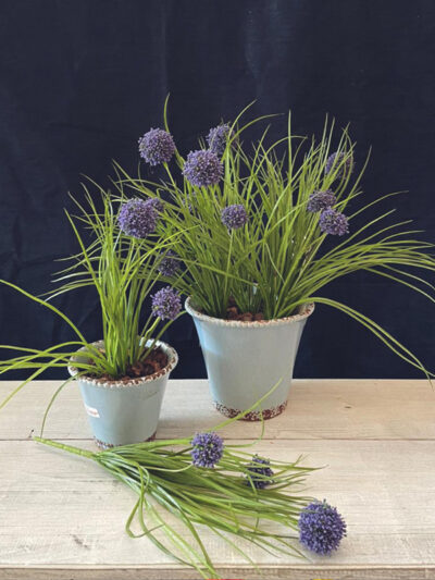 Ramo de alium purpura