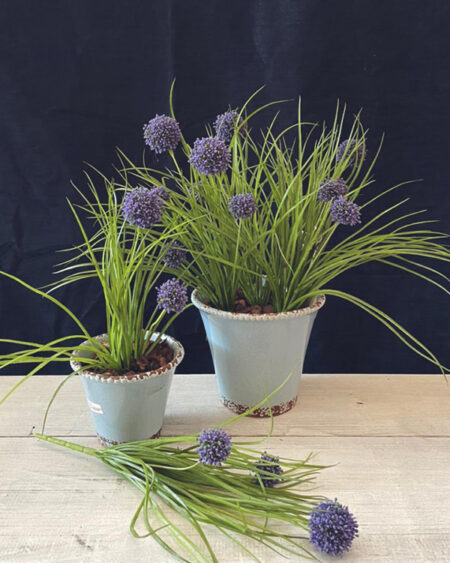 Ramo de alium purpura