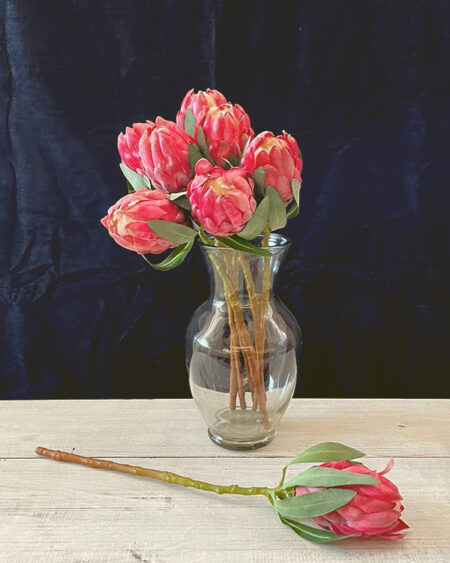 Brote de protea Rosa