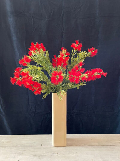 Vara de callistemon rojo