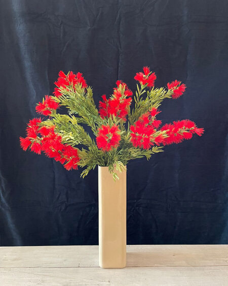 Vara de callistemon rojo