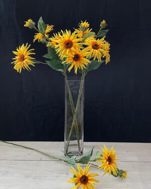 Vara de Girasol