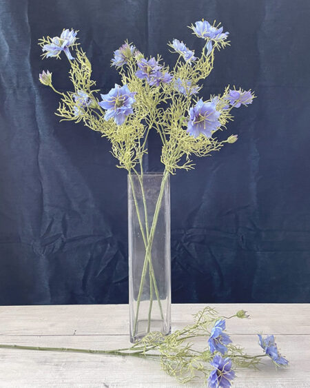 Nigella Violeta