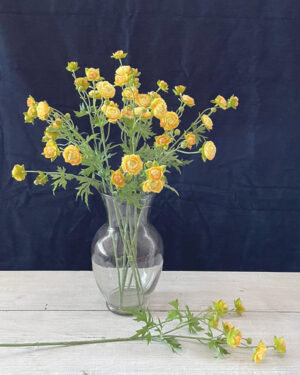 Ramillete de ranunculus amarillo
