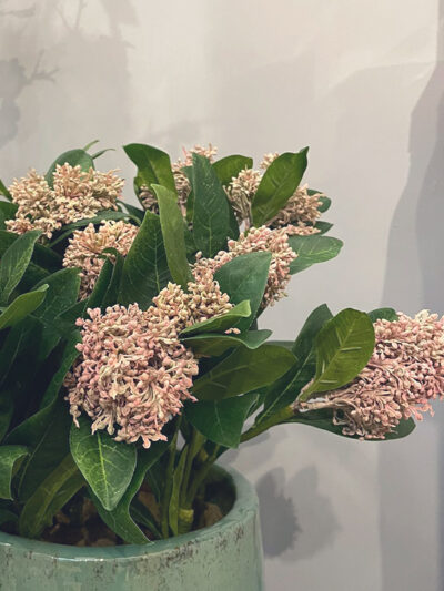 Vara de Esquimia rosa