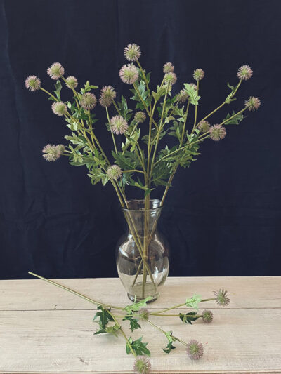 Globo de Cardo Violeta