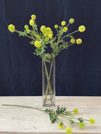 Globo de cardo amarillo