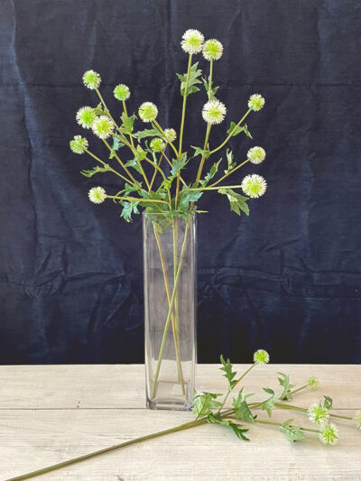 Globo de cardo blanco