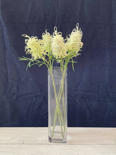 Grevillea banksii blanco